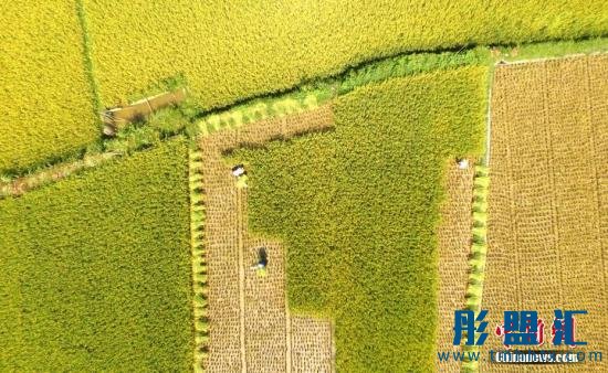 點擊進入下一頁