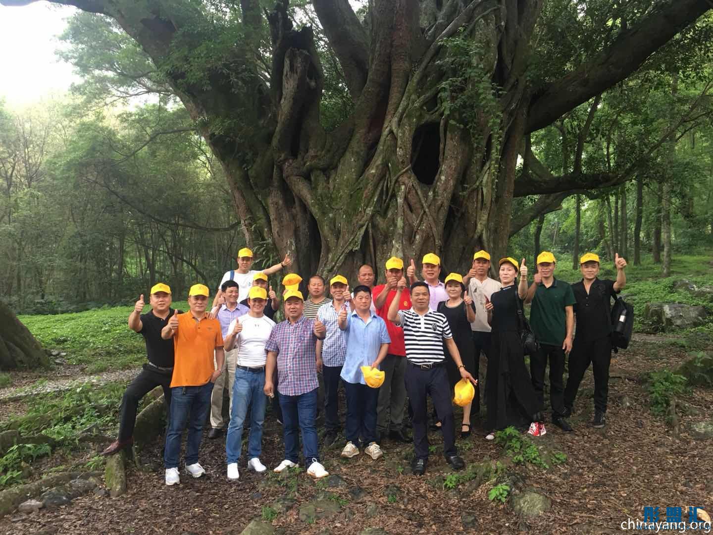 浙江龍港東門楊氏聯誼會戶外活動行-楊家溪之旅 - 楊氏網
