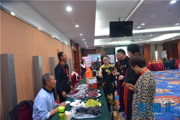 世界華人慈善家協會全球婦女聯合會在北京舉辦“企業與商家經貿恰談會”